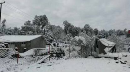 Varias localidades de Durango se cubrieron de nieve.