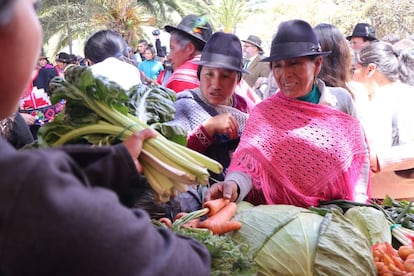 El acceso a riego sostenible es uno de los principales retos de Ecuador.