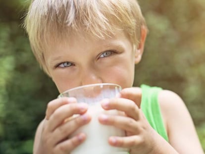 La leche, fuente de salud