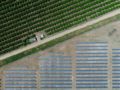 Planta fotovoltaica de Peñaflor, en la provincia de Sevilla, construida por GRS, constructora centrada en proyectos de energía renovable.