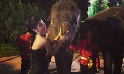 Rihanna, con dos elefantes en una foto que colgó en Twitter.