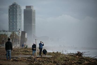 La platja de la Barceloneta plena de restes de vegetació i mobiliari del temporal Glòria.