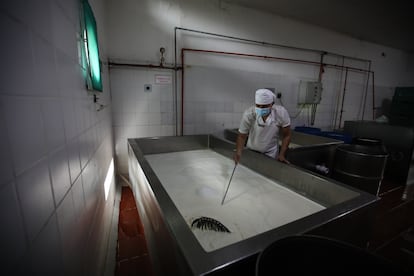 Un trabajador de la industria lechera en una planta en Florencia, en el departamento de Caquetá, Colombia, en 2023