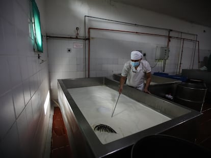 Un trabajador de la industria lechera en una planta en Florencia, en el departamento de Caquetá, Colombia, en 2023