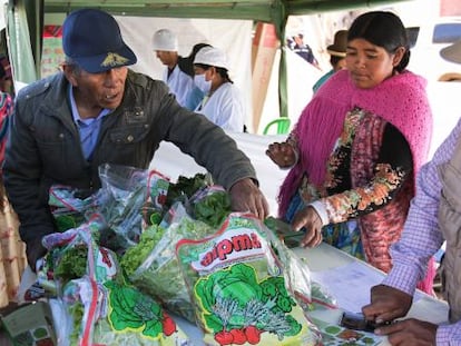 ¿Puede Latinoamérica alimentar al mundo?