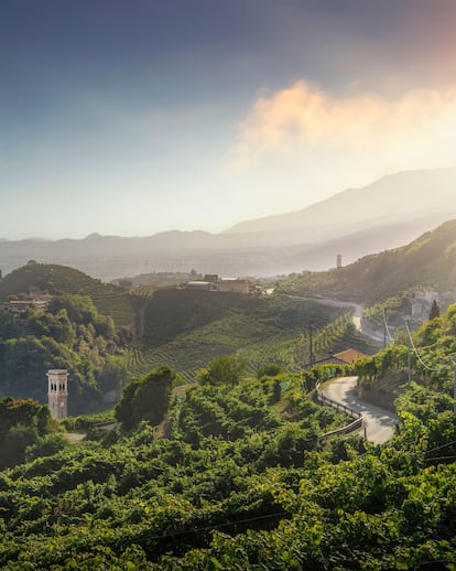Las colinas del Prosecco, Patrimonio Mundial de la Humanidad por la Unesco.