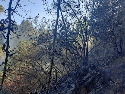 Incendios forestales en Colombia