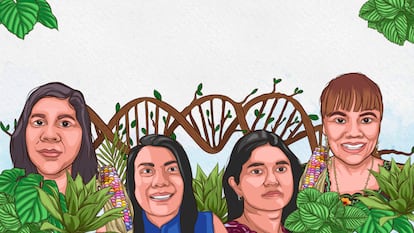 Las doctoras Anahí Jobeth Borrás Enríquez, Zoila Mora Guzmán, Elia Ballesteros Rodríguez y Lilian Dolores Chel Guerrero, miembros de la Red de Mujeres Indígenas en la Ciencia (REDMIC).