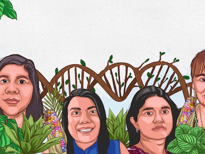 Las doctoras Anahí Jobeth Borrás Enríquez, Zoila Mora Guzmán, Elia Ballesteros Rodríguez y Lilian Dolores Chel Guerrero, miembros de la Red de Mujeres Indígenas en la Ciencia (REDMIC).