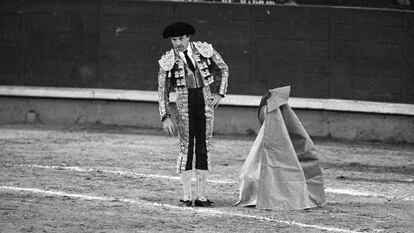 Curro Vázquez será homenajeado en la Feria de San Isidro de Vistalegre.