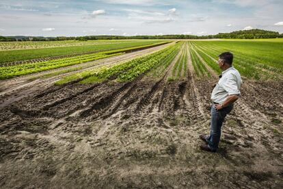 Ludolf Von Maztlan, propietario de la granja ecológica Brodowin, observa sus cultivos. Los vegetales que más produce son cebollas y patatas.