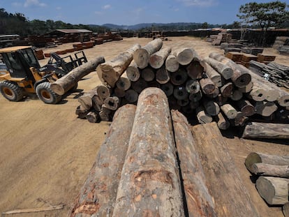 Extração de madeira na Amazônia.