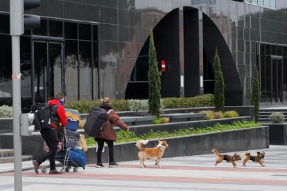 Personas sin hogar abandonan Ifema al no poder acceder con sus perros al nuevo albergue