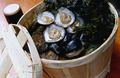 Un plato de ostras en un restaurante de Galway (Irlanda). 