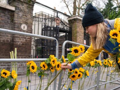 Girasoles en apoyo a Ucrania: las manifestaciones contra la guerra, en imágenes