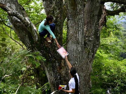 Matilde y Marlene Pimentel, hermanas y estudiantes universitarias, trepan a un árbol para intentar alcanzar la señal de internet en una colina para asistir a una clase virtual, en El Tigre, El Salvador, en 2020 durante la pandemia de covid.