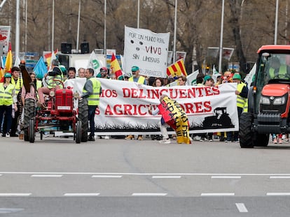 Agricultores y ganaderos participan en una marcha de protesta en Madrid este domingo.