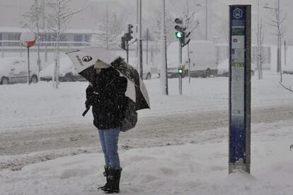 Imagen de la intensa nevada caída hoy en Vitoria.