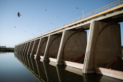 El río fluye hasta la presa desviadora Morelos, donde decenas de aves hacen sus nidos. Esta presa redirige el cauce del río hacia el Canal Alimentador Central, desde el cual el agua se reparte a ejidos y ranchos agrícolas de la zona desértica que rodea Mexicali.