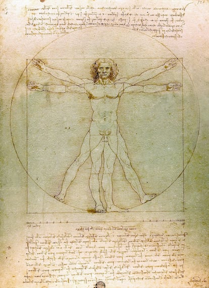 El arquetipo de "humano" –hombre blanco de mediana edad– sigue siendo el mismo que representaba el 'Hombre de Vitrubio' de Leonardo da Vinci.

