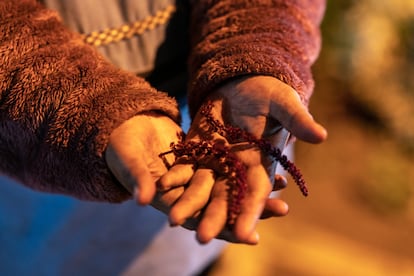 Las manos de Miriam Soria sostienen una rama de ataco, planta que se utiliza para hacer horchata o la famosa colada morada (bebida que se prepara durante el 2 y 3 de noviembre por el Día de los Muertos).