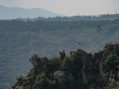 La barranca de La Aurora, en el Estado de Veracruz, México.