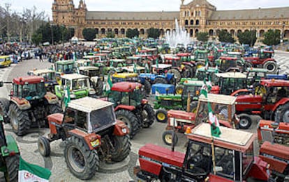 Los tractores de los agricultores de COAG, aparcados ayer en la Plaza de España de Sevilla, frente a la Delegación del Gobierno central.