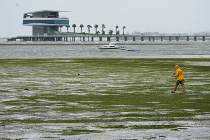 The water also receded in Tampa in 2022, following the passage of Hurricane Ian.