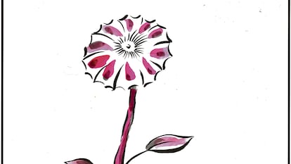 El Roto: flor de un día