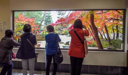 Un grupo de turistas fotografía uno de los "cuadros" naturales del museo Adachi.