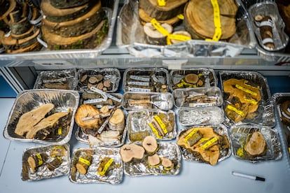 Muestras y discos, guardadas en uno de los laboratorios del INIA-CSIC.