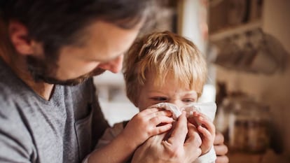 Los virus gripales, antes y más intensos