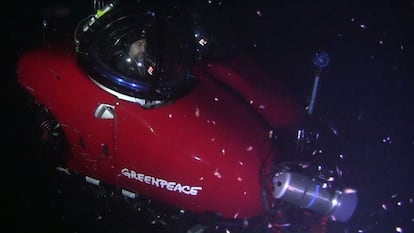 Javier Bardem se sumergió junto al biólogo marino de Greenpeace John Hocevar, quien pilotaba el submarino, en una imagen del 27 de enero.
