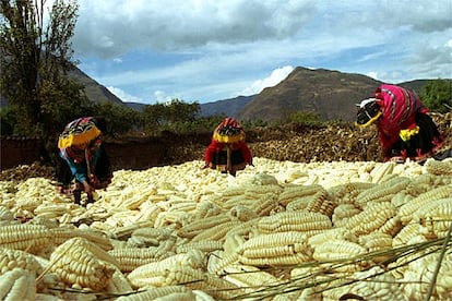 Después de un buen partido, hay que volver a las tareas que conlleva la vida en el campo. Así es la vida en Los Andes.