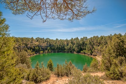 Laguna de la Gitana (Cañada del Hoyo, Cuenca). Una trágica leyenda de amores contrariados —los de Currita y Jeromo, dos jóvenes gitanos— tiñe de misterio esta laguna de la Baja Serranía conquense, un redondel perfecto de 132 metros de diámetro, con orillas escalonadas como un anfiteatro y aguas profundas e hipnotizadoras. Aguas que, dicen, nada más tragarse a Currita, mudaron de color, como mudan aún todos los años, a finales de julio, adquiriendo un verdor más blanquecino de lo habitual, más luminoso. La Gitana forma parte del monumento natural Lagunas de Cañada del Hoyo, siete torcas inundadas de todos los colores imaginables: verde botella, esmeralda, azul, chocolate, negro… incluso rosa. Pero no hay espectros juguetones en ellas. Solo microorganismos que reaccionan a los cambios de temperatura.