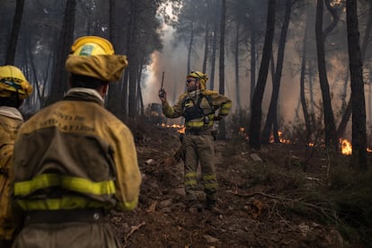 Bomberos trabajando en la extinción del incendio en la Sierra Culebra , a 16 de junio de 2022, en Zamora, Castilla y León.