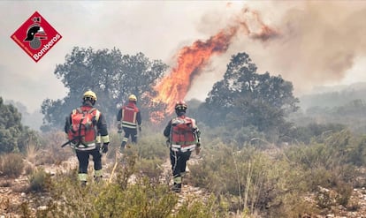Un grupo de bomberos forestales trabajan en la extinción del incendio en Ibi.