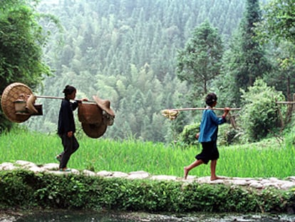 Dos mujeres chinas, en un campo de arroz.