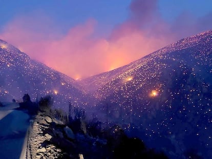 Las llamas queman un bosque en Distomo (Grecia), este martes.