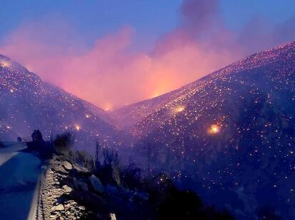 Las llamas queman un bosque en Distomo (Grecia), este martes.