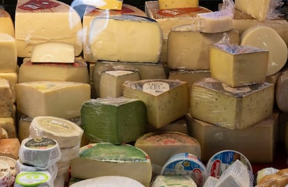 El queso puede proteger la salud del cerebro