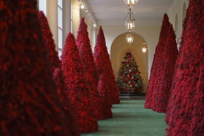 Los árboles se alinean en la columnata este de la Casa Blanca.