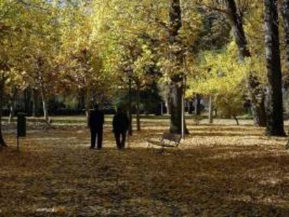 Dos ancianos paseandp por el parque de Quevedo en León. EFE/Archivo