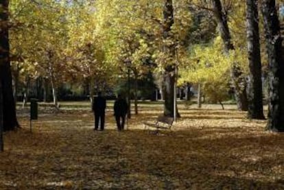 Dos ancianos paseandp por el parque de Quevedo en León. EFE/Archivo