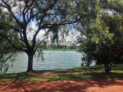 São Paulo é mais fácil com um parque ao lado. Pode ser o Parque da Aclimação, familiar e pacato. Ou o Parque Trianon, sombra fresca no meio da avenida Paulista. O importante é que seja perto de casa; que se possa chegar a ele a pé. E é a pé que eu chego três ou quatro vezes por semana ao Ibirapuera, para fazer exercícios. Para mim, essa comodidade já seria o bastante, porque os bebedouros e banheiros funcionam bem e existe uma infraestrutura mínima, com pequenas vendas e lanchonetes. Mas o parque ainda abriga museus e um restaurante que costumam agradar às visitas que vêm de fora da cidade. É um bom lugar para respirar, enfim, em uma cidade que pode ser sufocante.