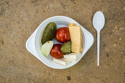 Plato con una variedad de pepinos, tomates, cebolla y queso.