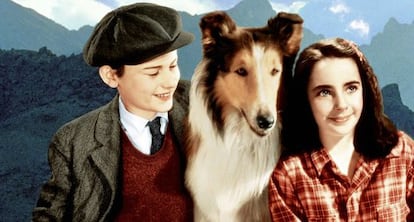Fotograma de 'Lassie, vuelve a casa' (1943), con una joven Liz Taylor