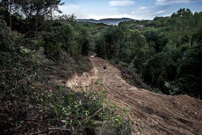 Un activista revisa la zona de bosc del municipi de Blanes arrasada, després del pas de les màquines retroexcavadores.