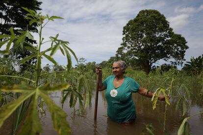 Iracema Guimaraes da Costa observa los daños que ha provocado la inundación a su plantío.