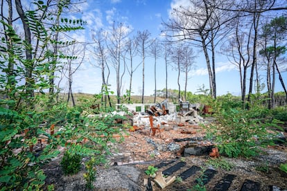 Vestigios del restaurante Salie Sud, que se ubicaba en medio del bosque de las Landas y que se quemó durante los incendios del año pasado.